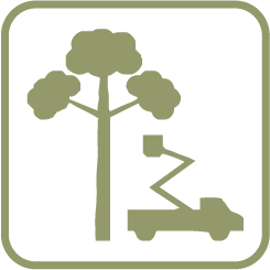Tree Trimming services icon - Upper Cape Tree Service